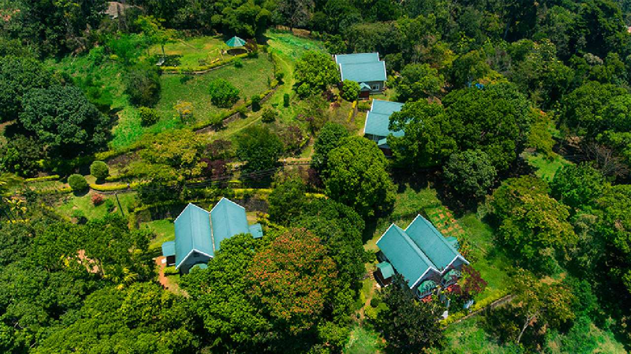 Ambady Estate in Kerala from above