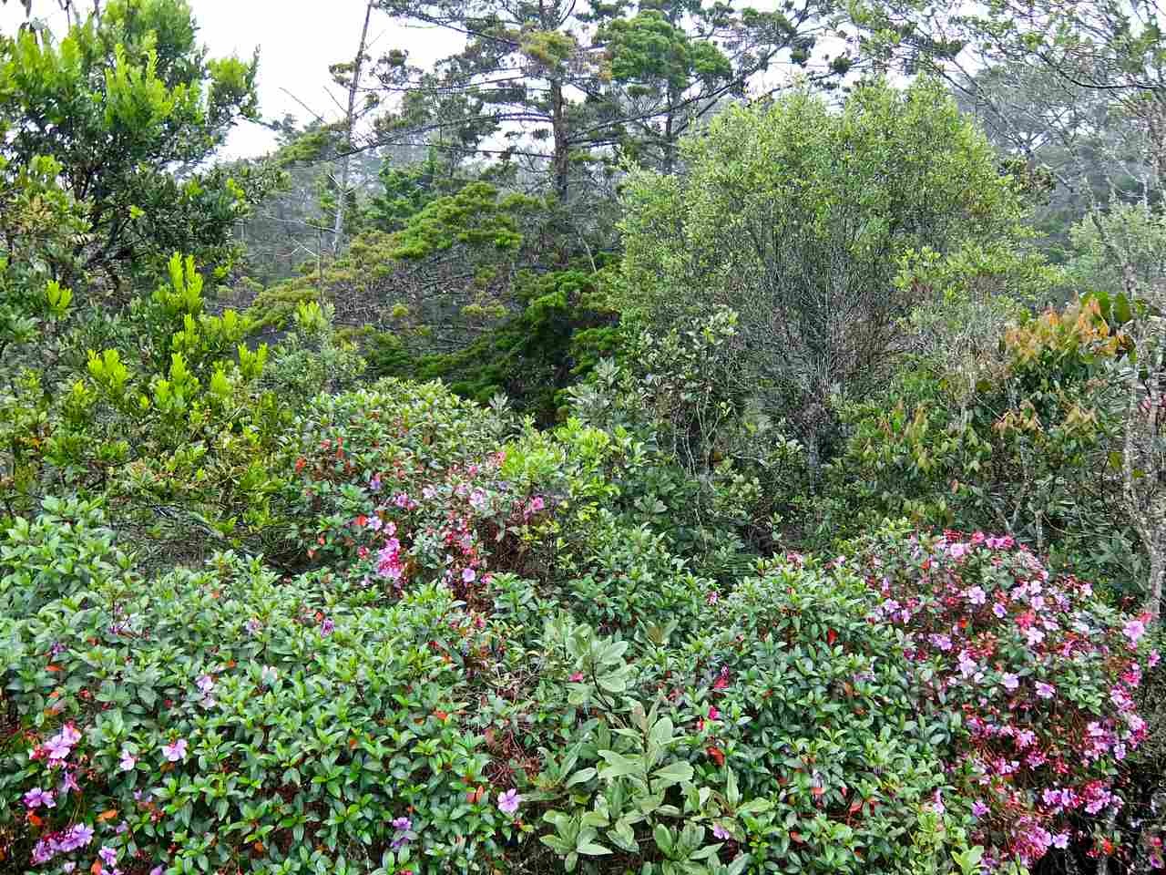 Arví Park, Medellin, Columbia