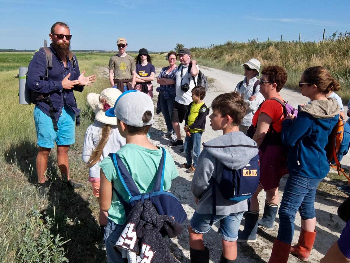 A Guided Walk across the Somme, France