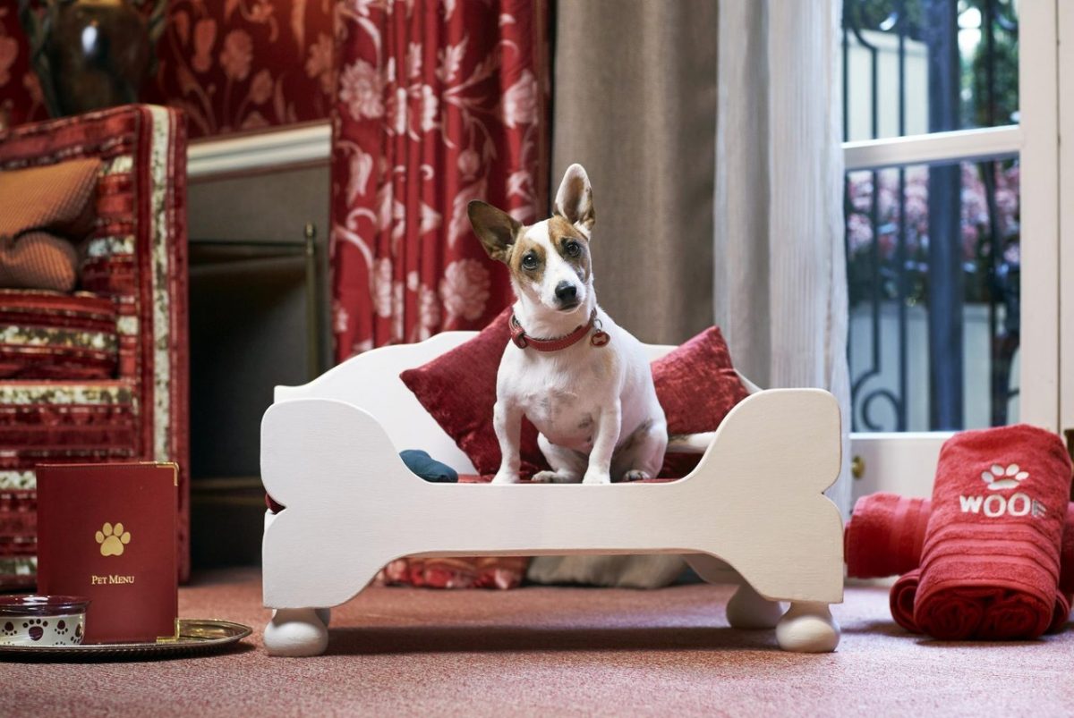 Top 10 Dog-friendly Hotels In The UK