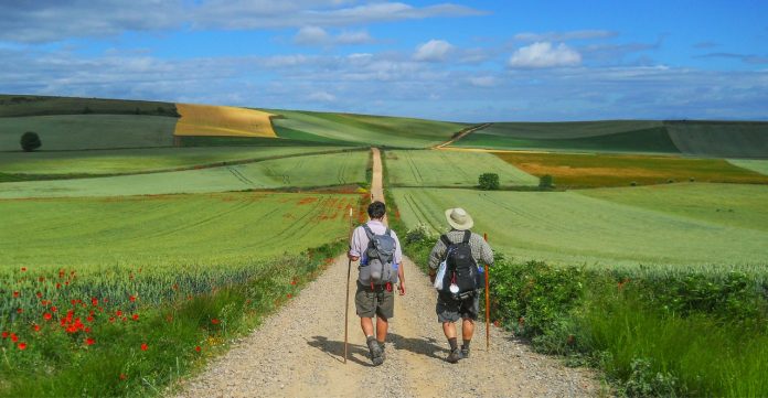 Follow the Camino