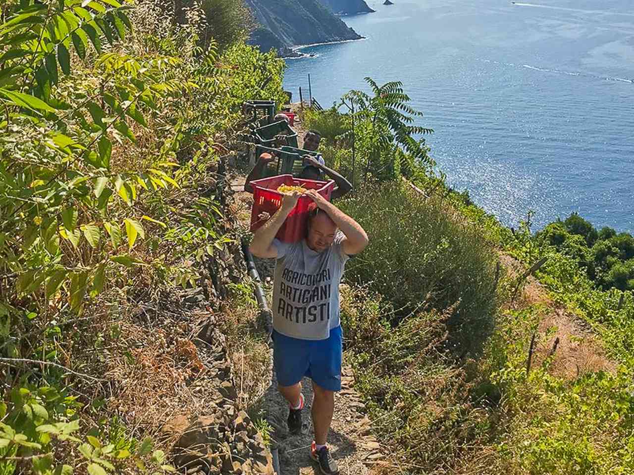 Hiking the steep paths of the Cinque Terre can be hard work - even without the grapes