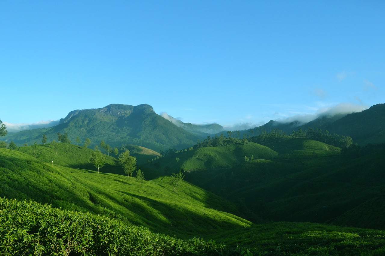 Munnar mountains Kerala