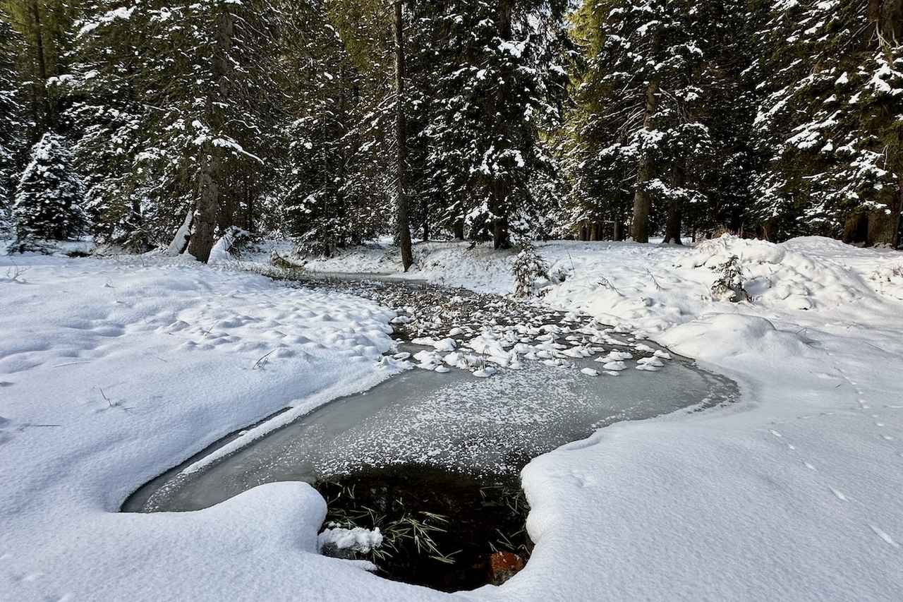 Nature's Winter Sculptures in Madonna di Campiglio