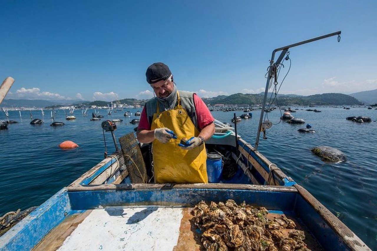 Oyster fisherman, Gulf of Poets