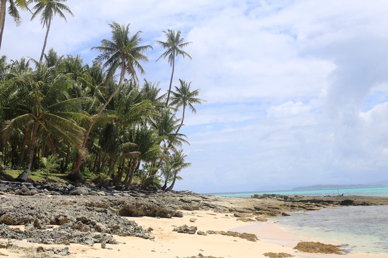 Siargao beach rocks and palm trees