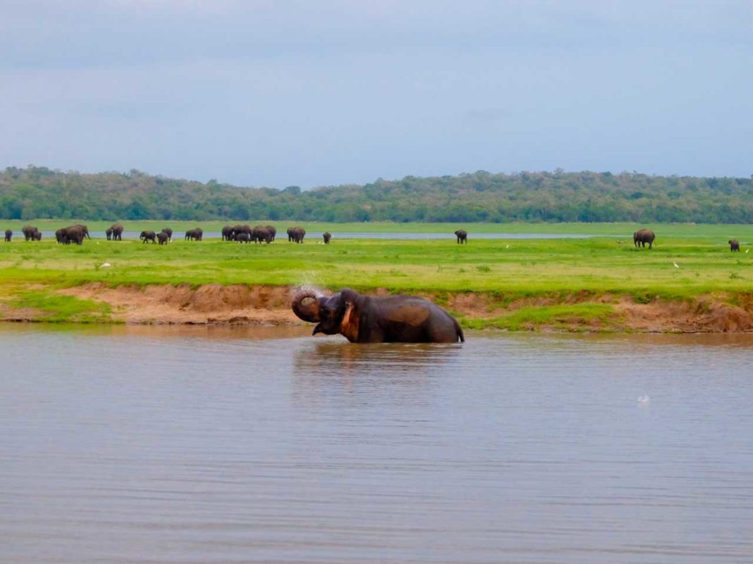 Sri Lanka road trip - Elephant Bath