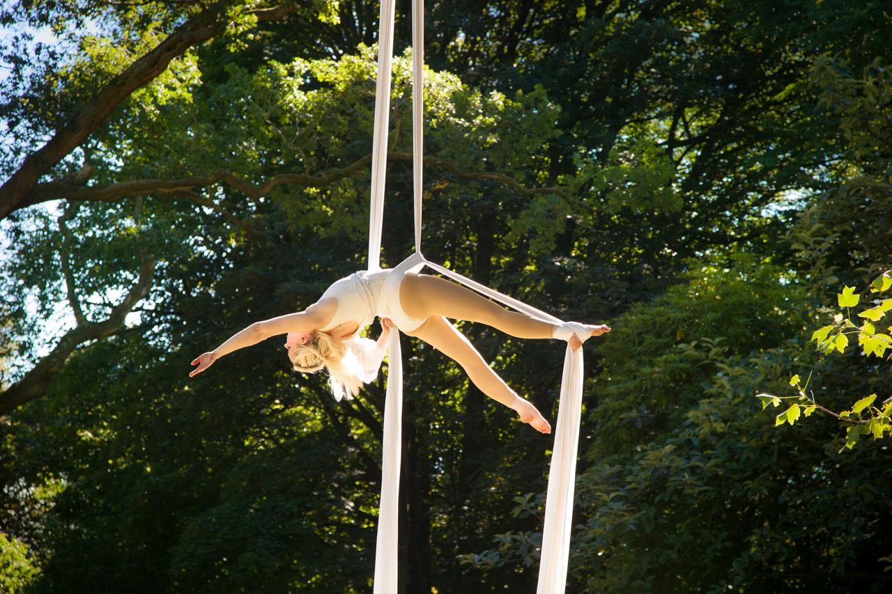 Timber Festival - Whispering Woods - aerial workshops and performance in the trees