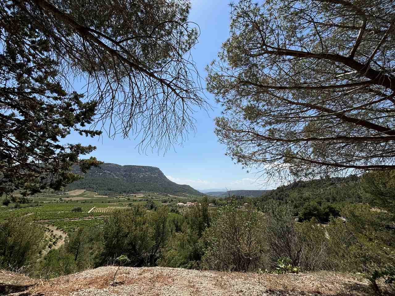 Valley and vineyards view from Circuit de Vingrau