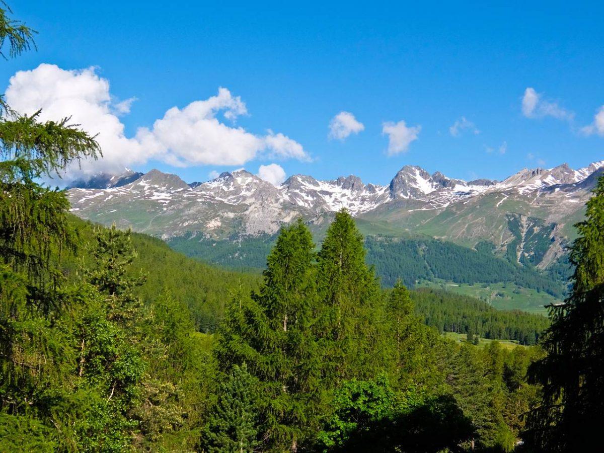 Over the Alps via Gotthard Bernina Circular Tour on the Bernina Express