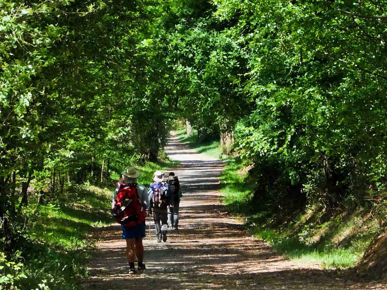 Galician metsäiset polut