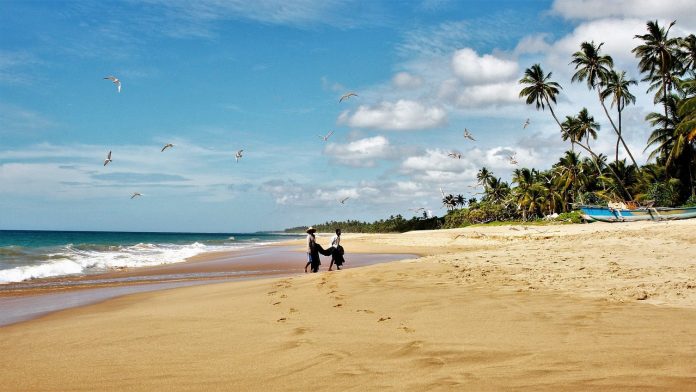 When Is The Best Time To Visit Sri Lanka